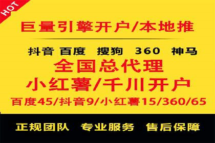 百度竞价与搜索引擎优化（SEO）结合的经典案例